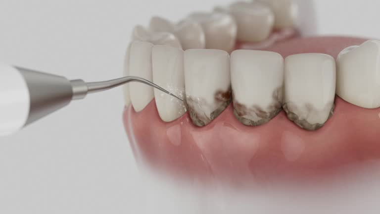 Reliable Dental contractor in Ville Platte, LA by Dentist Open Now